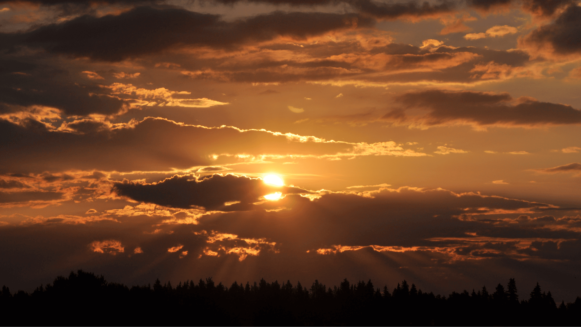 Bilan Initial Sabrina broyer energie